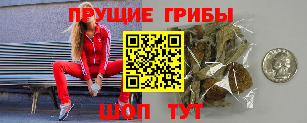 Белогорск  Псилоцибиновые грибы Psilocybe  Вход с VPN 